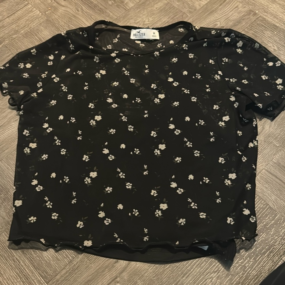 Hollister Medium